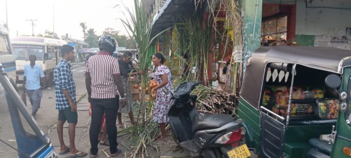 பருத்திதுறை நகரில் தைப்பொங்கலை முன்னிட்டு களைகட்டும் பொங்கல் வியாபாரம்